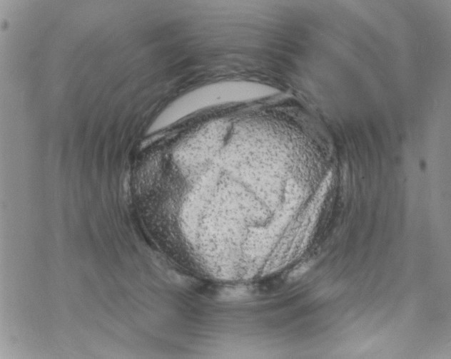 X0000073730177200608311854