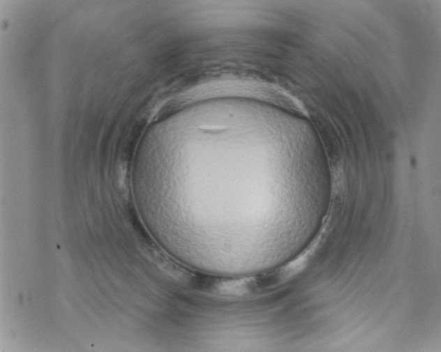 X0000073730178200608311854