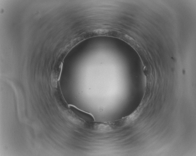 X0000073730180200608311854