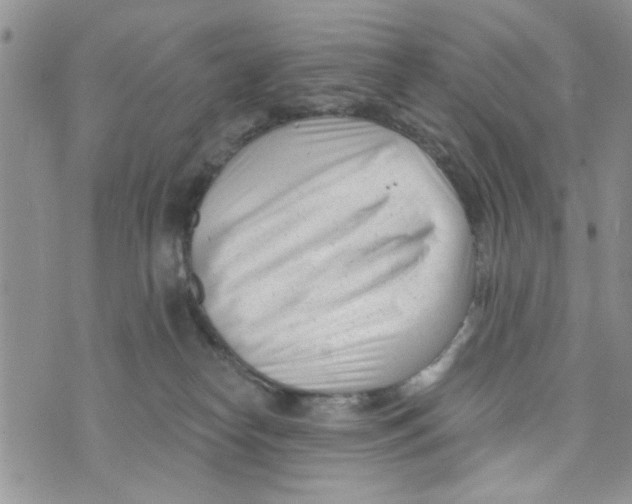 X0000073730182200608311854