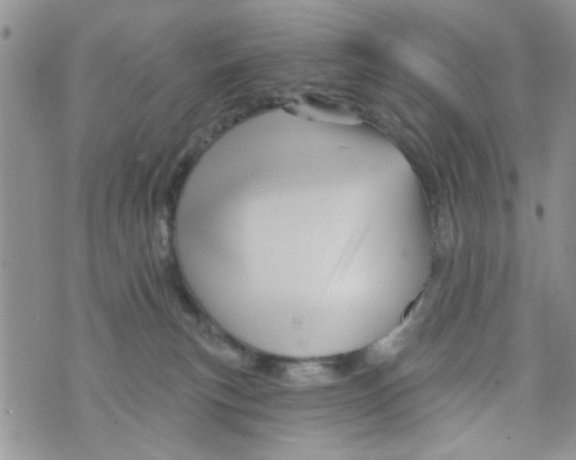 X0000073730183200608311854