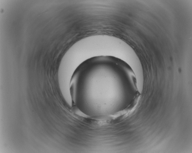 X0000073730184200608311854