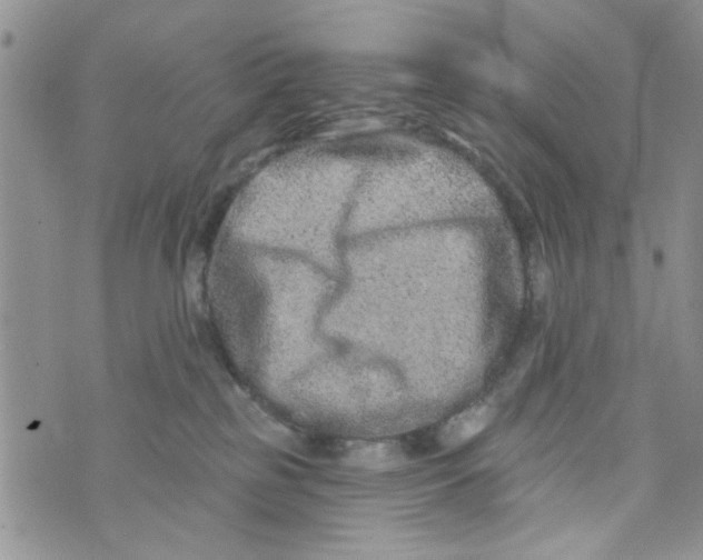 X0000073730185200608311854