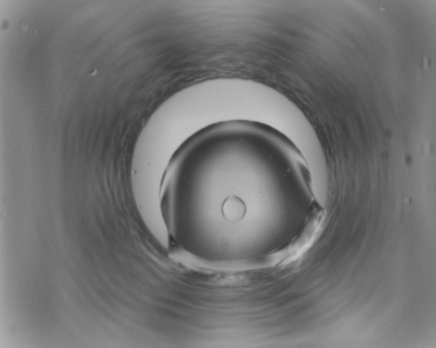 X0000073730186200608311854