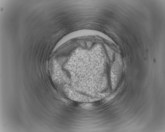 X0000073730189200608311854