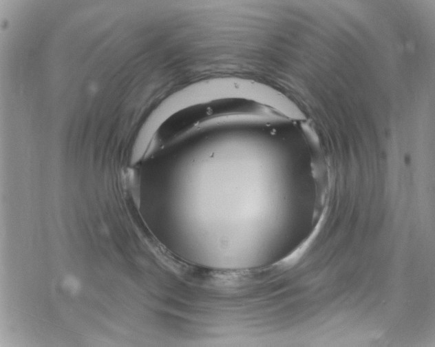 X0000073730190200608311854