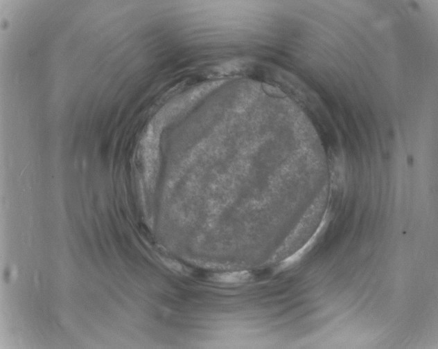 X0000073730191200608311854