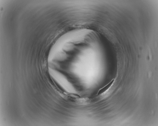 X0000073730192200608311854