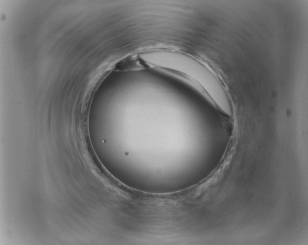 X0000073730193200608311853