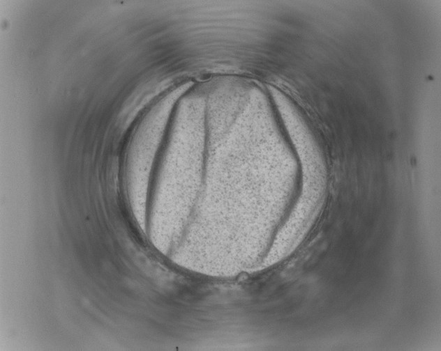 X0000073730194200608311853