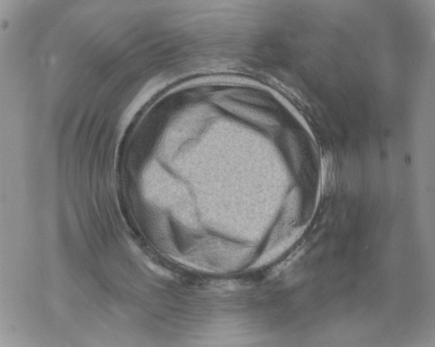 X0000073730195200608311853