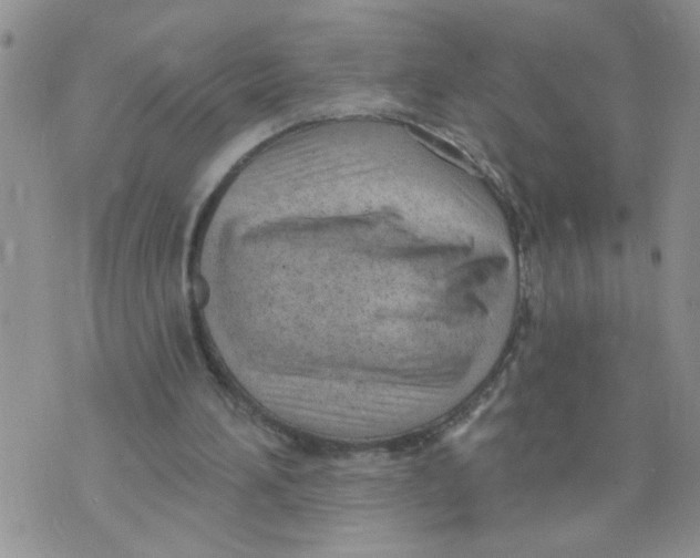 X0000073730196200608311853