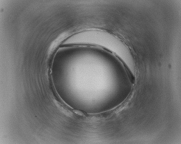 X0000073730197200608311853