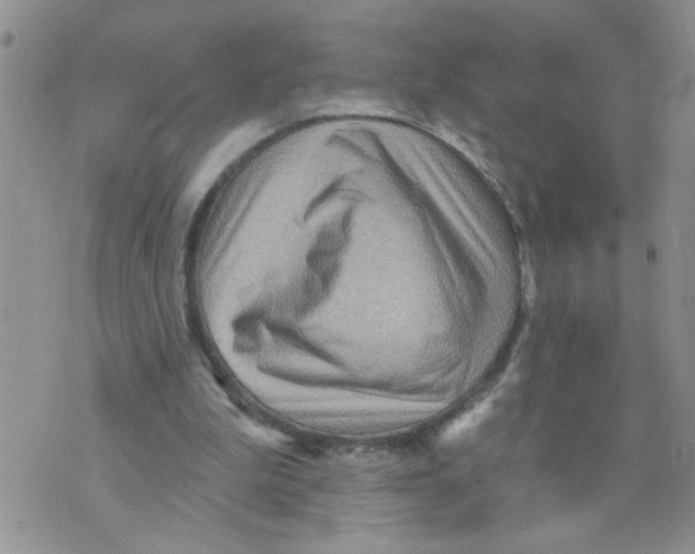 X0000073730199200608311853