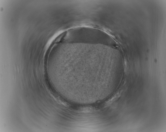 X0000073730200200608311853