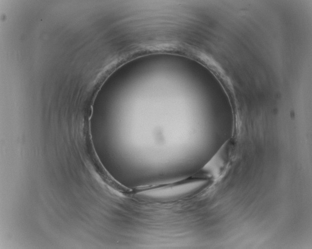 X0000073730201200608311853