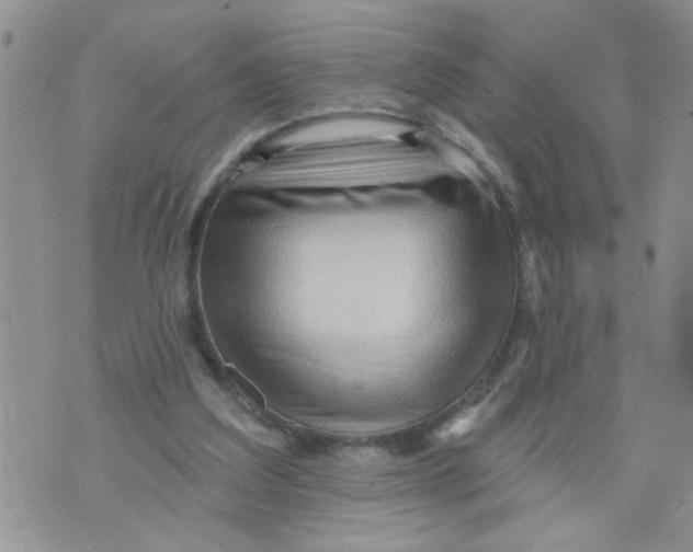 X0000073730203200608311853