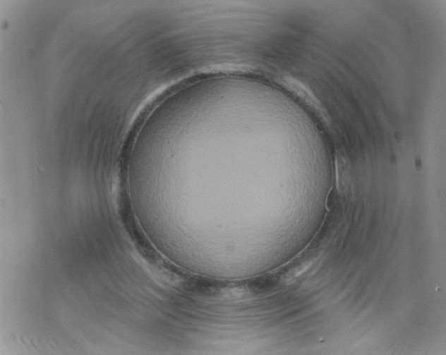 X0000073730204200608311853