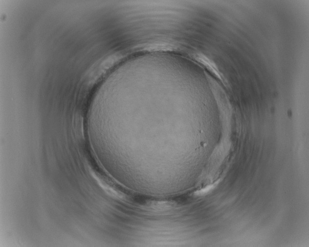 X0000073730205200608311853