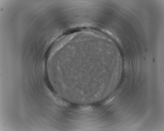 X0000073730206200608311853