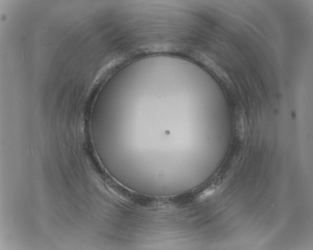 X0000073730207200608311853