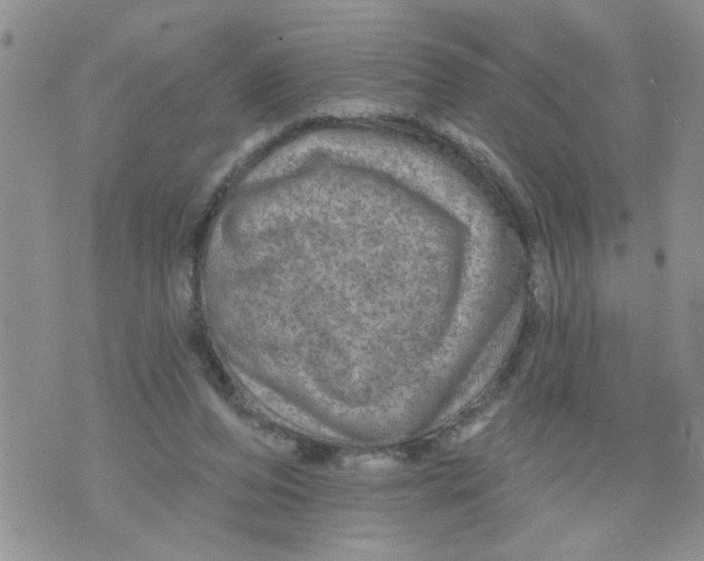 X0000073730208200608311853