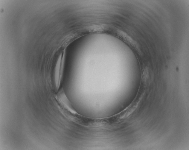 X0000073730209200608311853