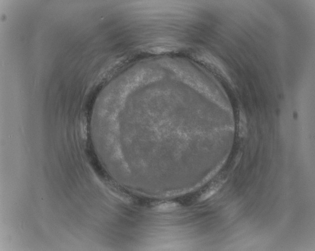 X0000073730210200608311853