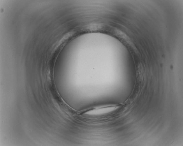 X0000073730212200608311853