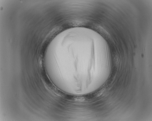 X0000073730214200608311853