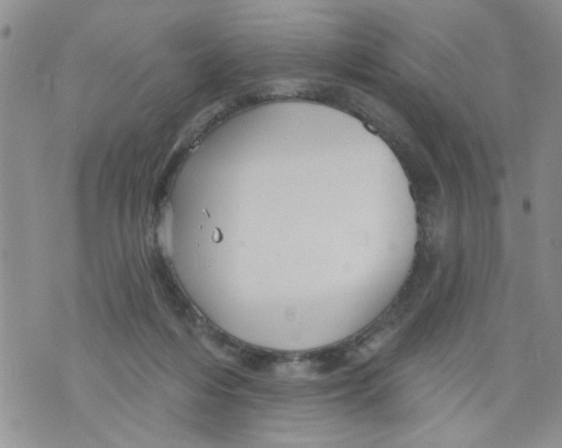 X0000073730216200608311853