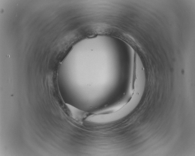 X0000073730217200608311853