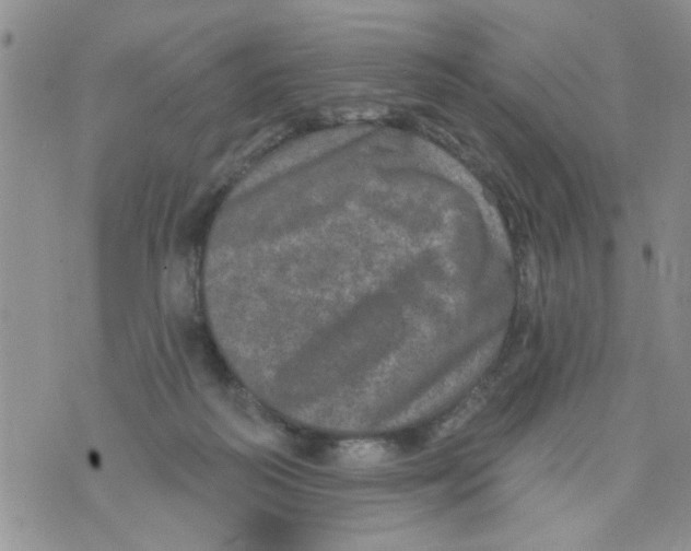 X0000073730218200608311853