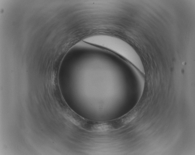 X0000073730219200608311853