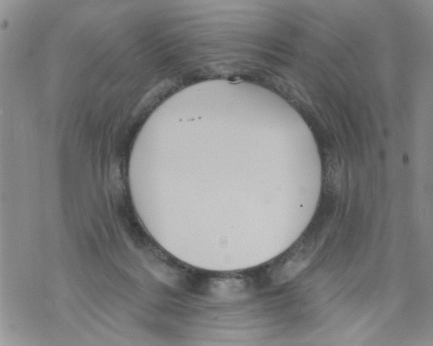 X0000073730220200608311853