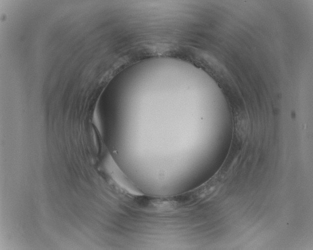 X0000073730221200608311853