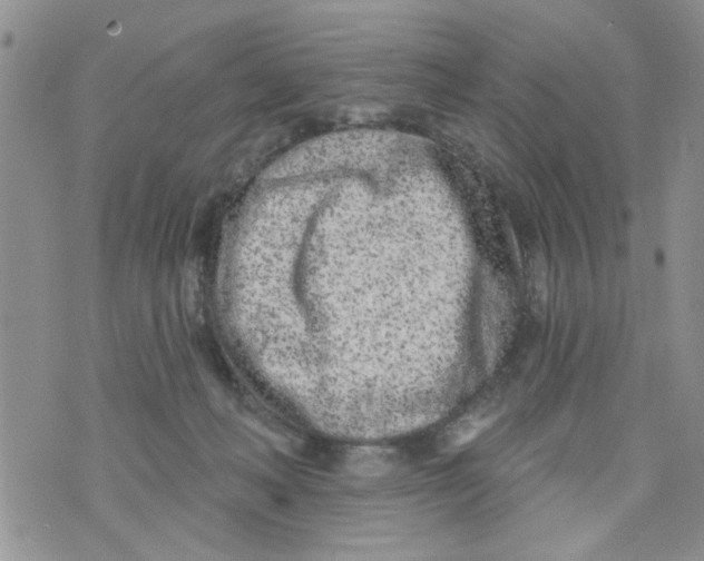 X0000073730222200608311853