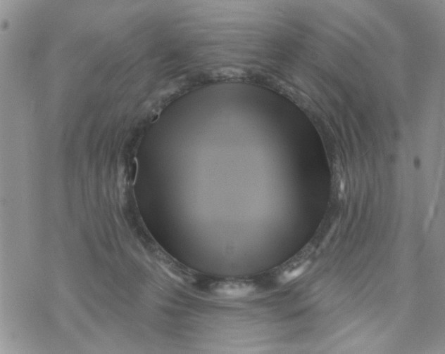 X0000073730223200608311853