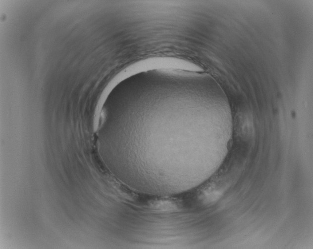 X0000073730224200608311853