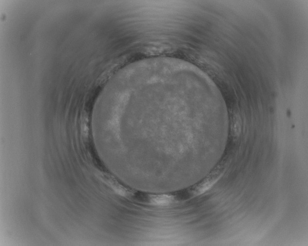 X0000073730226200608311853