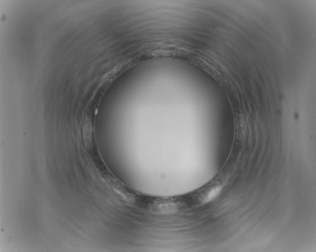 X0000073730228200608311853