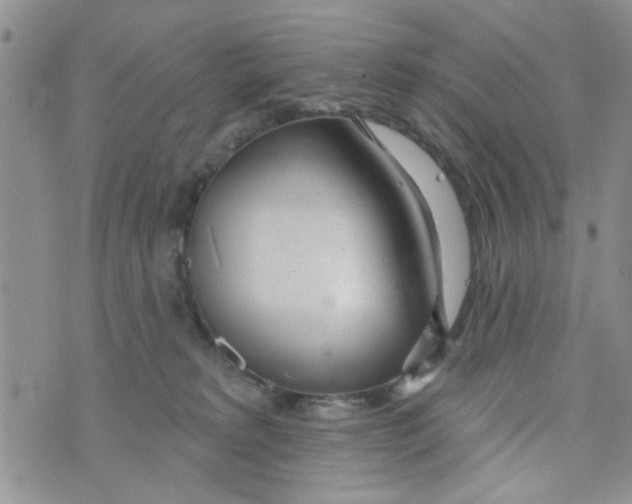 X0000073730229200608311853