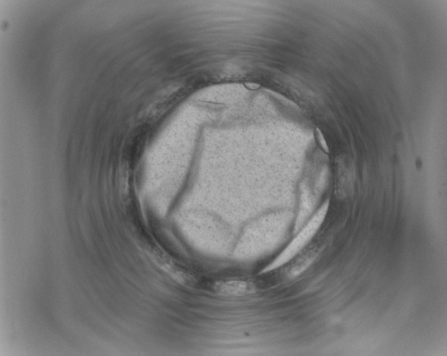 X0000073730230200608311853