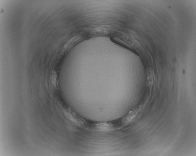 X0000073730231200608311853