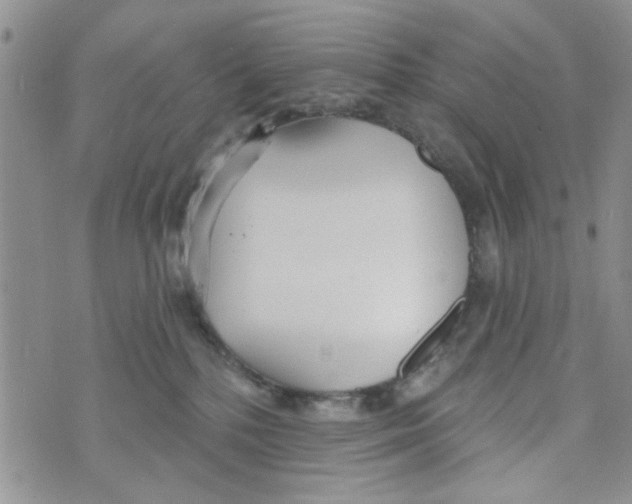 X0000073730232200608311853