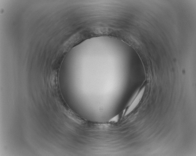 X0000073730233200608311853