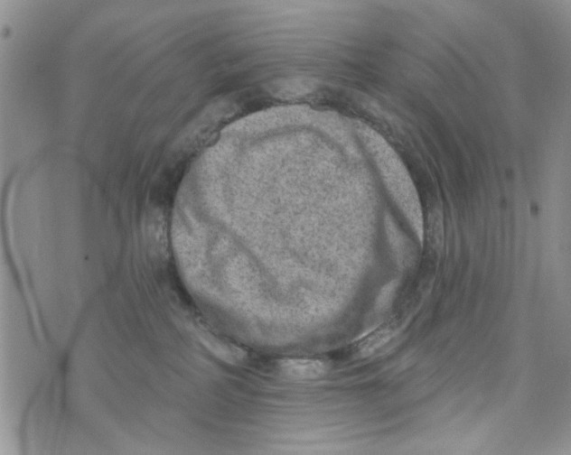 X0000073730234200608311853