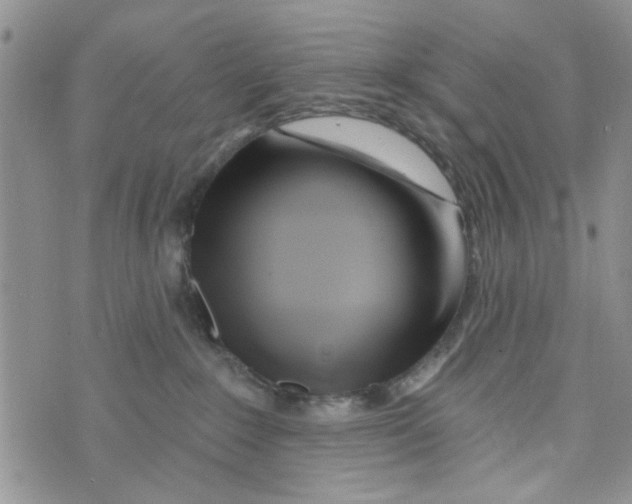 X0000073730235200608311853