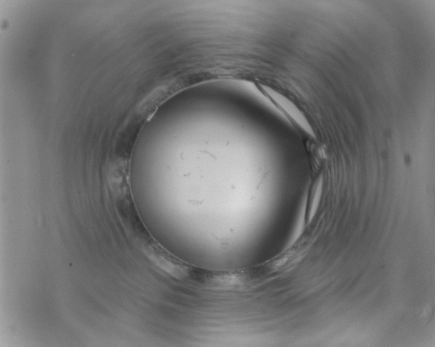 X0000073730237200608311853