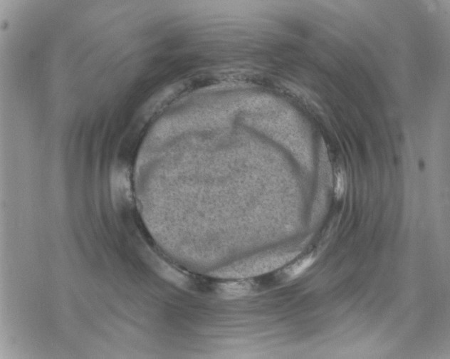 X0000073730238200608311853